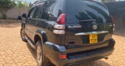 Landcruiser prado 2008