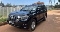 Landcruiser Prado 2019