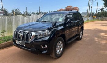 Landcruiser Prado 2019 full