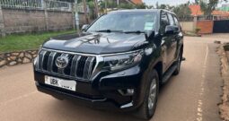 Landcruiser Prado 2019