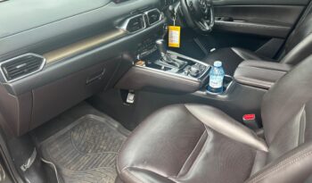 Mazda cx8 2019 full