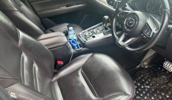 Mazda cx8 2019 full