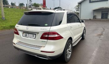 Mercedes BlueTec 2013 full