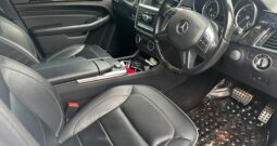 Mercedes BlueTec 2013
