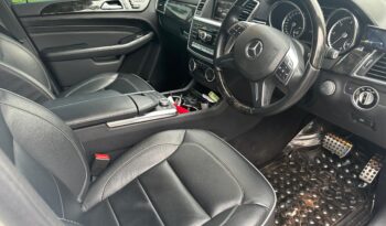 Mercedes BlueTec 2013 full