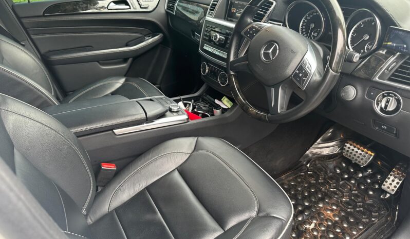 Mercedes BlueTec 2013 full