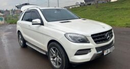 Mercedes BlueTec 2013