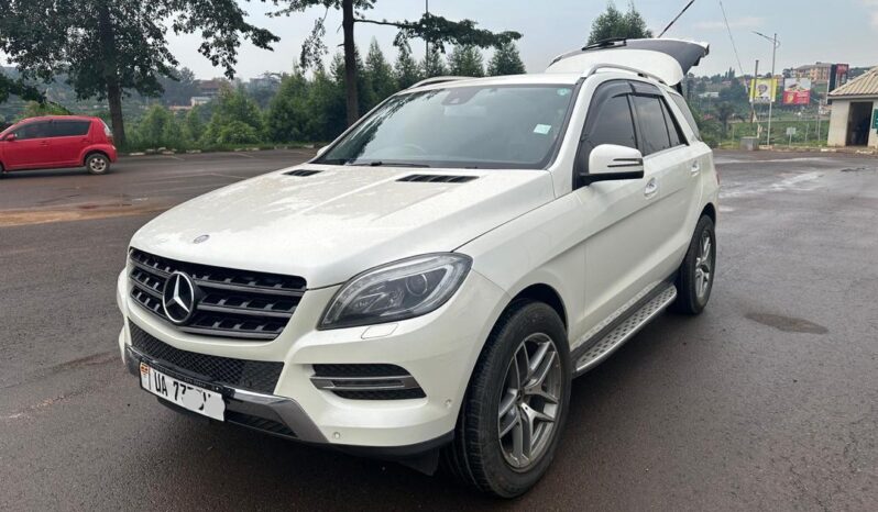 Mercedes BlueTec 2013 full
