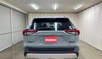 Toyota Rav4 2020 full