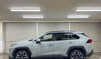 Toyota Rav4 2020 full
